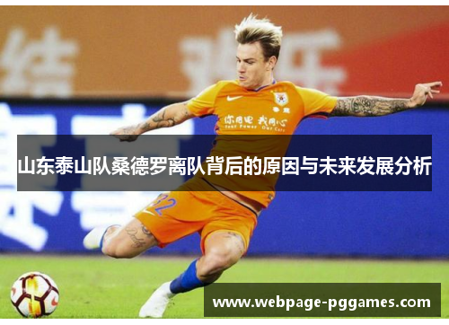 山东泰山队桑德罗离队背后的原因与未来发展分析