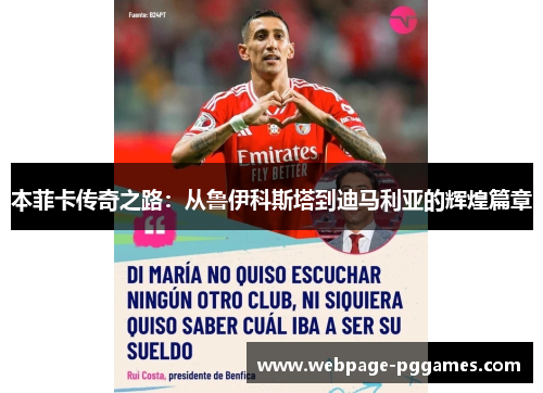 本菲卡传奇之路：从鲁伊科斯塔到迪马利亚的辉煌篇章
