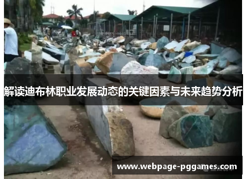 解读迪布林职业发展动态的关键因素与未来趋势分析