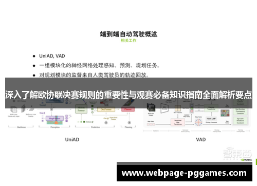 深入了解欧协联决赛规则的重要性与观赛必备知识指南全面解析要点